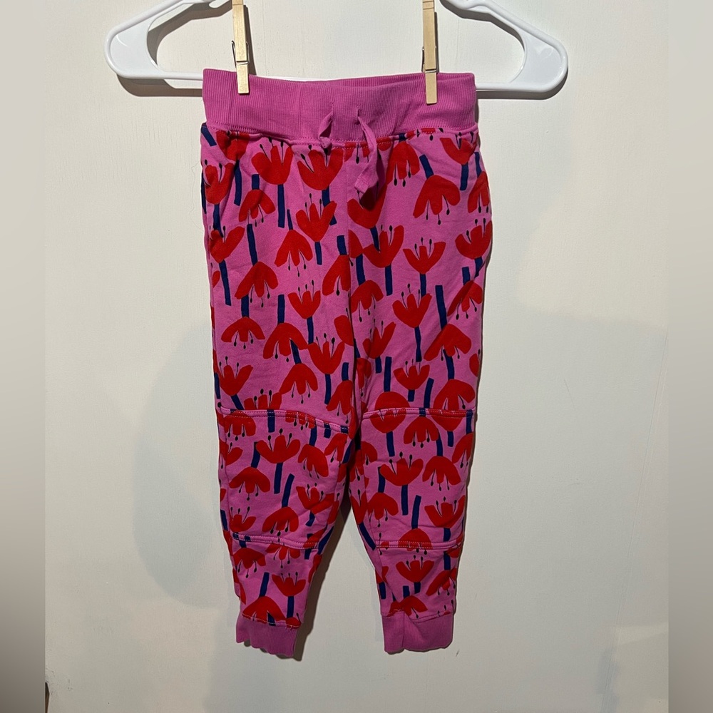 Hanna Andersson Pink and Red Floral Joggers